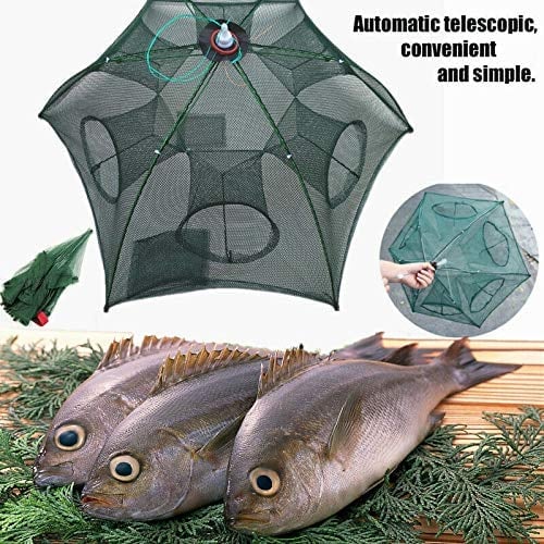 ❤LAST DAY 49% OFF🔥The Magic Fishing Trap⛺︎